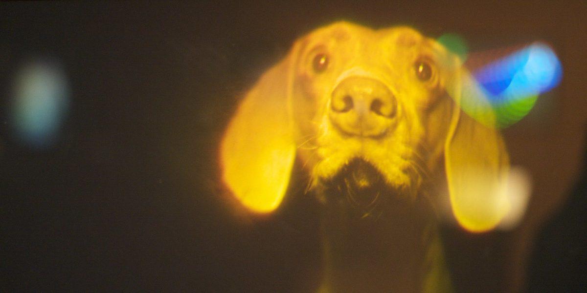 Önümüzdeki 37 Yıl İçinde Yaşanması Beklenen 32 Teknolojik Devrim