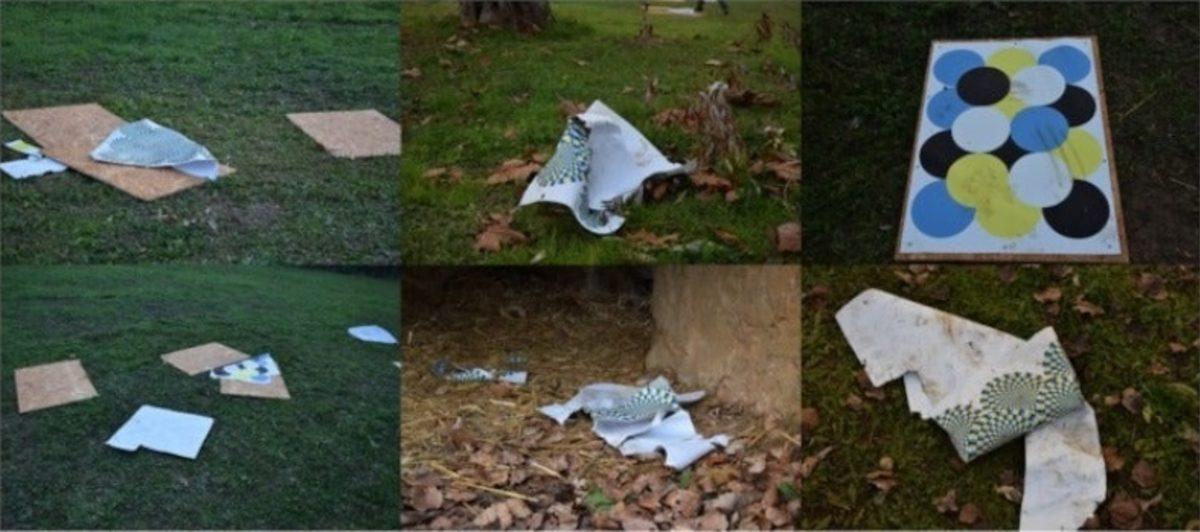 Aslanların, Optik İllüzyonlardan İnsanlar Gibi Etkilendiği Keşfedildi