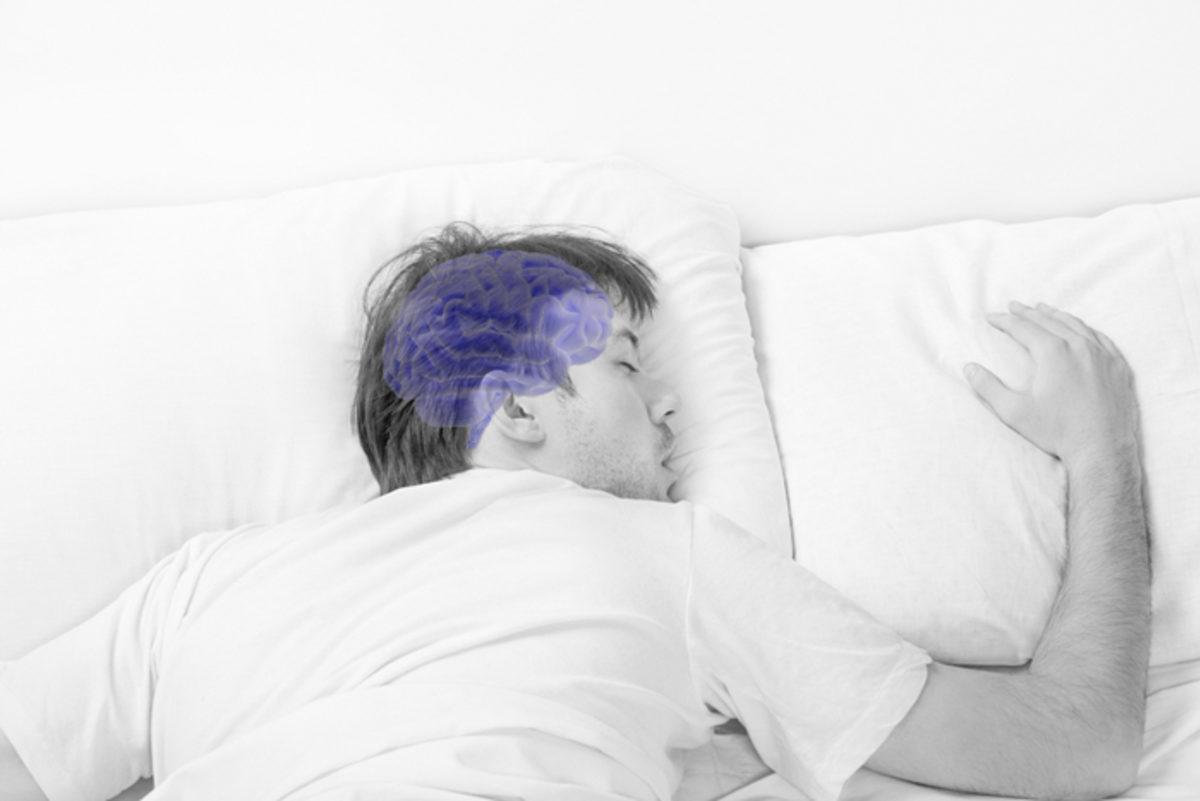 Ortamlarda Genel Kültürünüzü Konuşturacak Birbirinden Şaşırtıcı 10 Bilgi