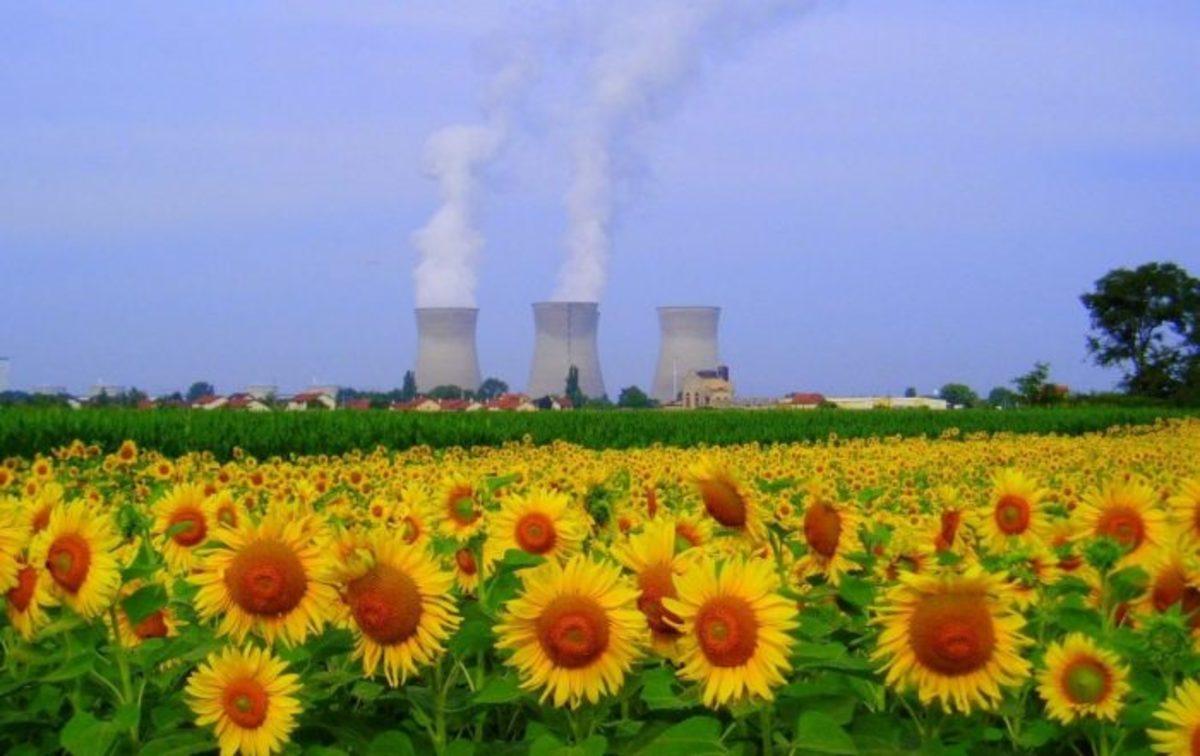 Ortamlarda Genel Kültürünüzü Konuşturacak Birbirinden Şaşırtıcı 10 Bilgi