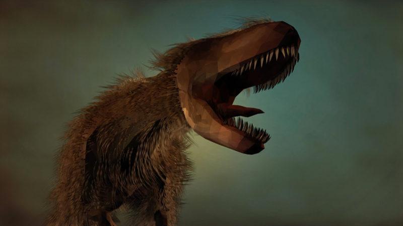 Ortamlarda Genel Kültürünüzü Konuşturacak Birbirinden Şaşırtıcı 10 Bilgi