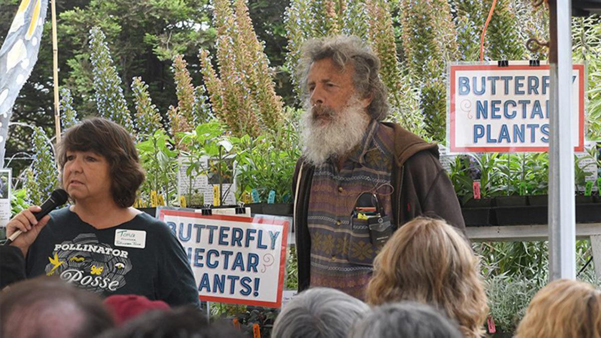 Bu Bilim İnsanı, Tam 47 Yıldır Durmaksızın Kelebekleri Sayıyor