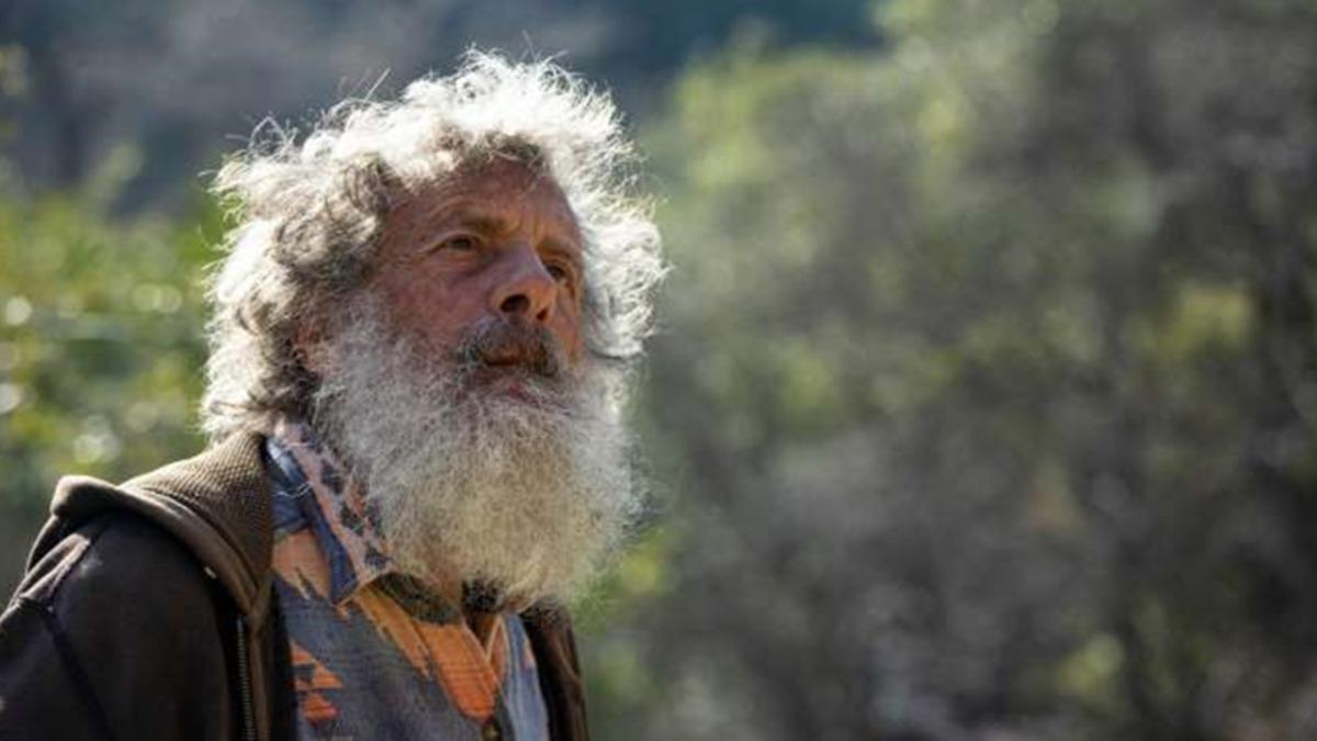 Bu Bilim İnsanı, Tam 47 Yıldır Durmaksızın Kelebekleri Sayıyor