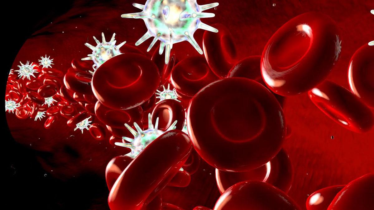 Bağışıklık Sistemimiz İçin Büyük Öneme Sahip ’Monosit’ Nedir, Yüksekliği ve Düşüklüğünde Ne Olur?