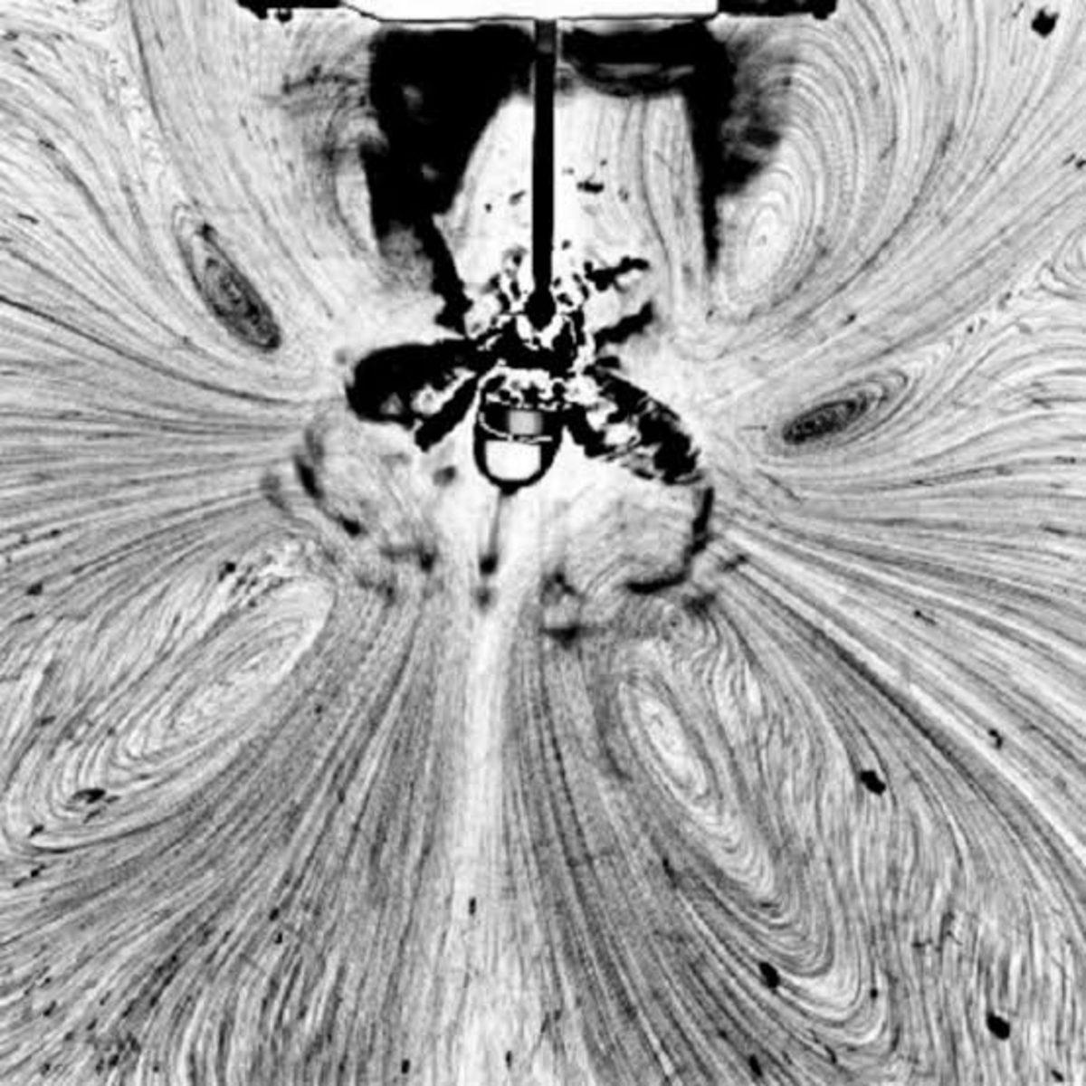 Arıların Su Yüzeyindeki Benzersiz Hareketi, Robotik Çalışmalarda Kullanılıyor