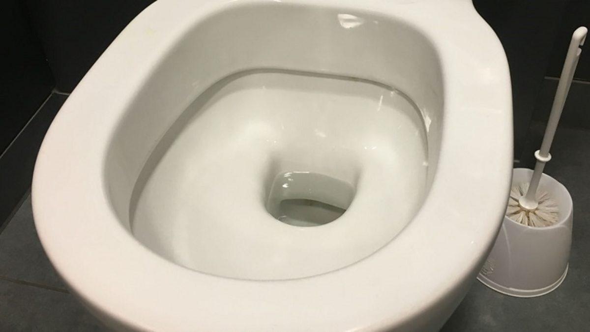 Bilim İnsanları, Tuvalet Yüzeyini Kayganlaştırarak Yapışmaları Önleyen Sprey İcat etti