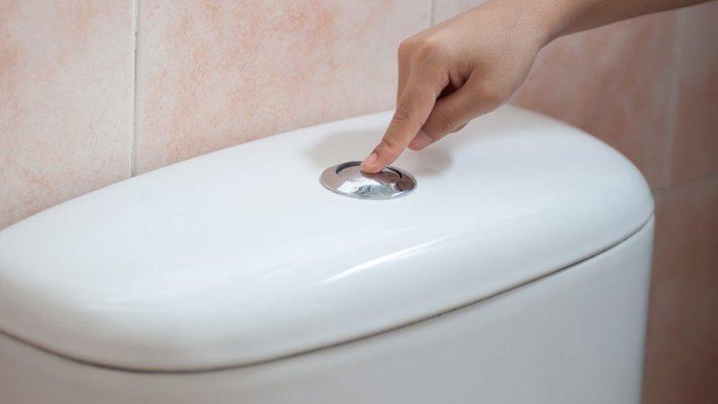 Bilim İnsanları, Tuvalet Yüzeyini Kayganlaştırarak Yapışmaları Önleyen Sprey İcat etti