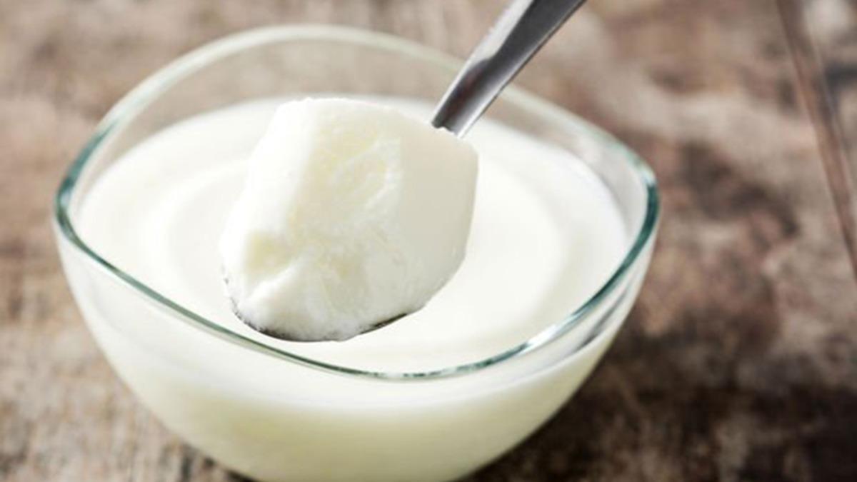 Araştırmalara Göre Yoğurt ve Lifli Gıdalar, Akciğer Kanserine Karşı Koruma Sağlıyor