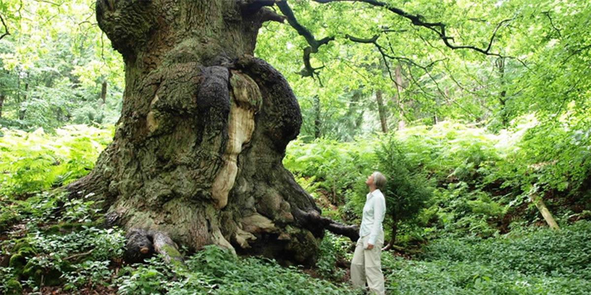 Eğer Bitcoin 0 (Sıfır) Dolara Düşerse Ne Olur?