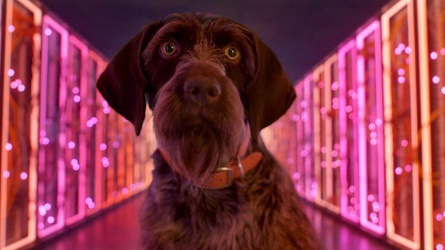 Google Stadia’nın Oyuncuların Kafasını Karıştıran Lansman Fragmanı