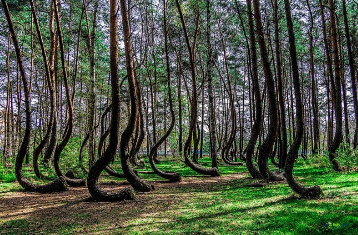 Dünya’dan Olduğuna Şaşıracağınız 16 Özel Yer