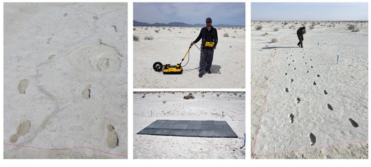 Mamutların Buz Devrinden Kalma Ayak İzleri Ortaya Çıkarıldı