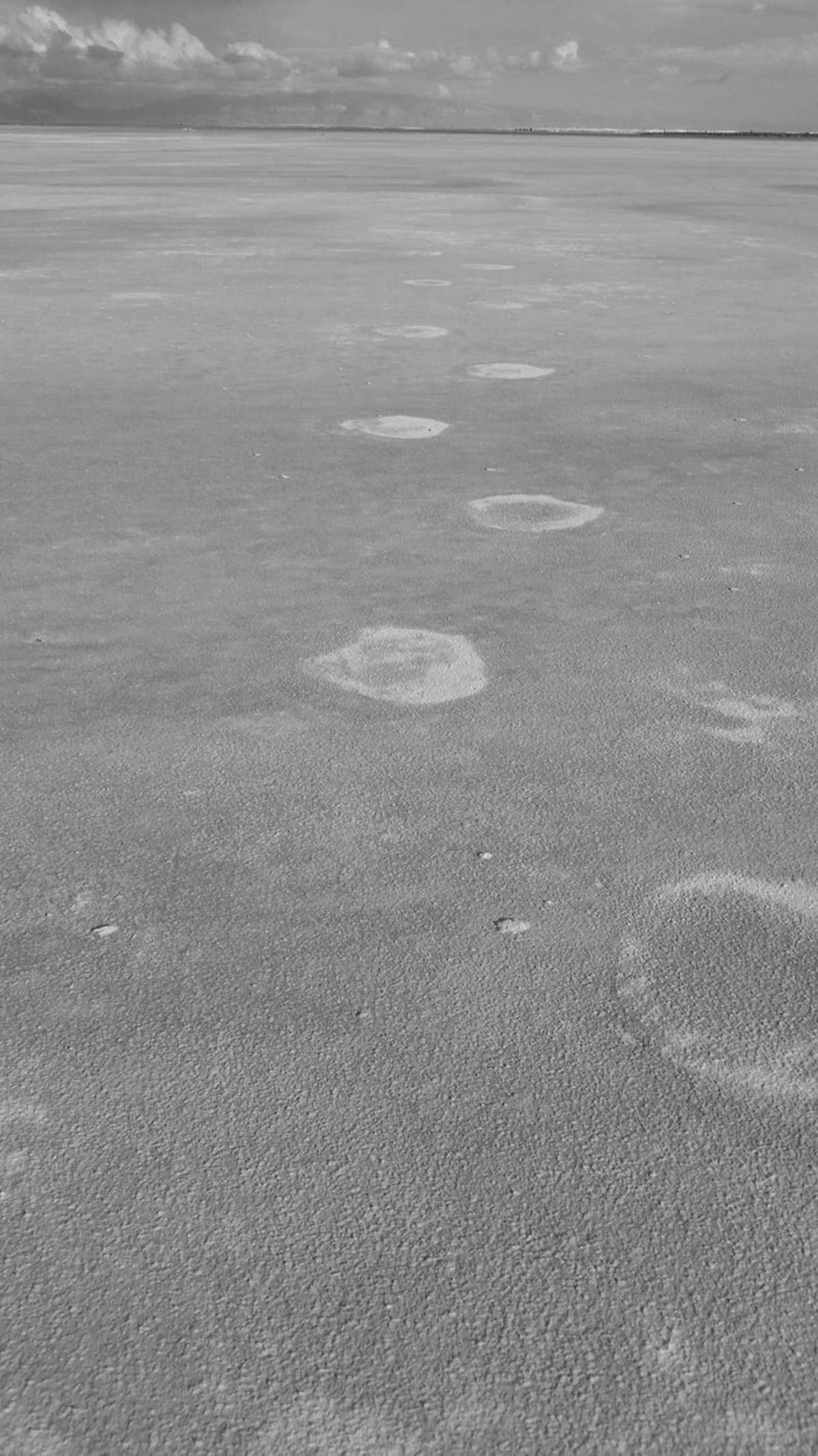 Mamutların Buz Devrinden Kalma Ayak İzleri Ortaya Çıkarıldı