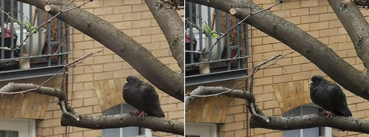 Xiaomi Mi Note 10’un Kamerası ’Zoom’ Sorunlarına Basit Ama Etkili Bir Çözüm Getirdi