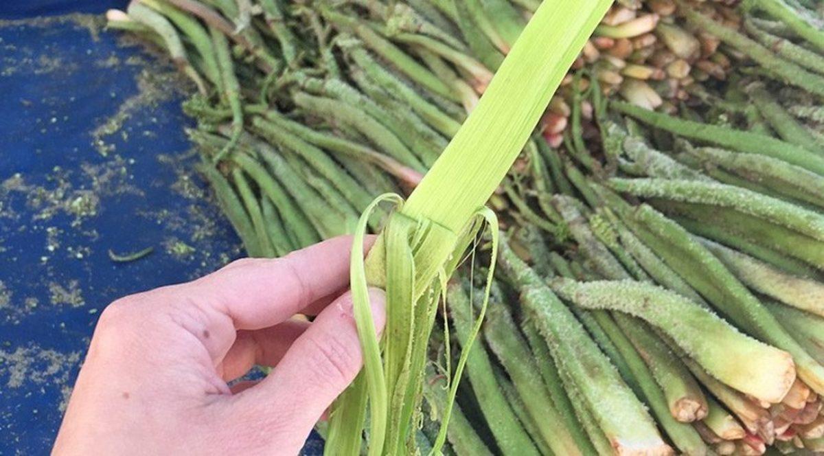 Hasta Olmanıza, Hatta Ölmenize Bile Sebep Olabilecek 5 Yiyecek