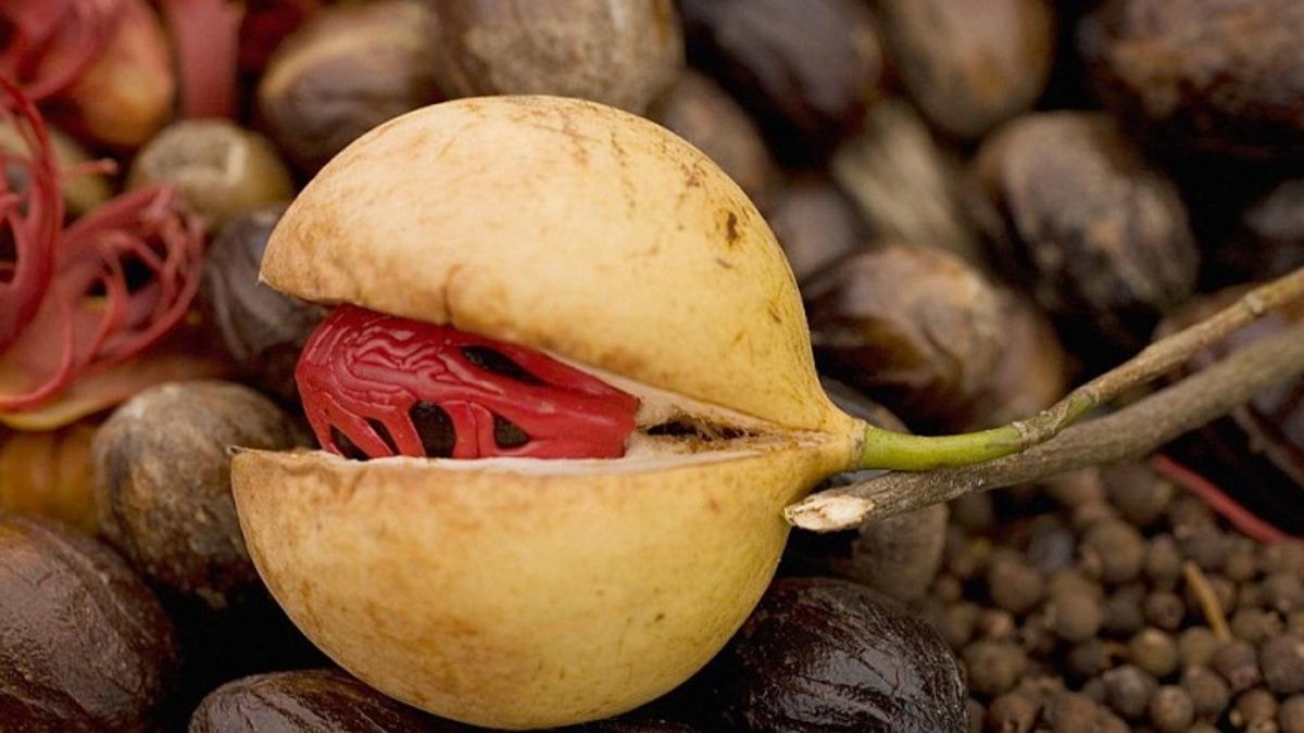 Hasta Olmanıza, Hatta Ölmenize Bile Sebep Olabilecek 5 Yiyecek