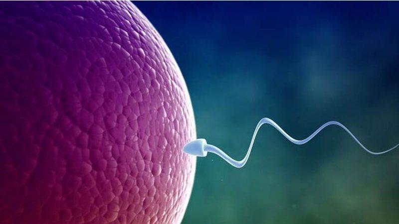 Dünyanın İlk Erkek Doğum Kontrol Yöntemi Onay Bekliyor