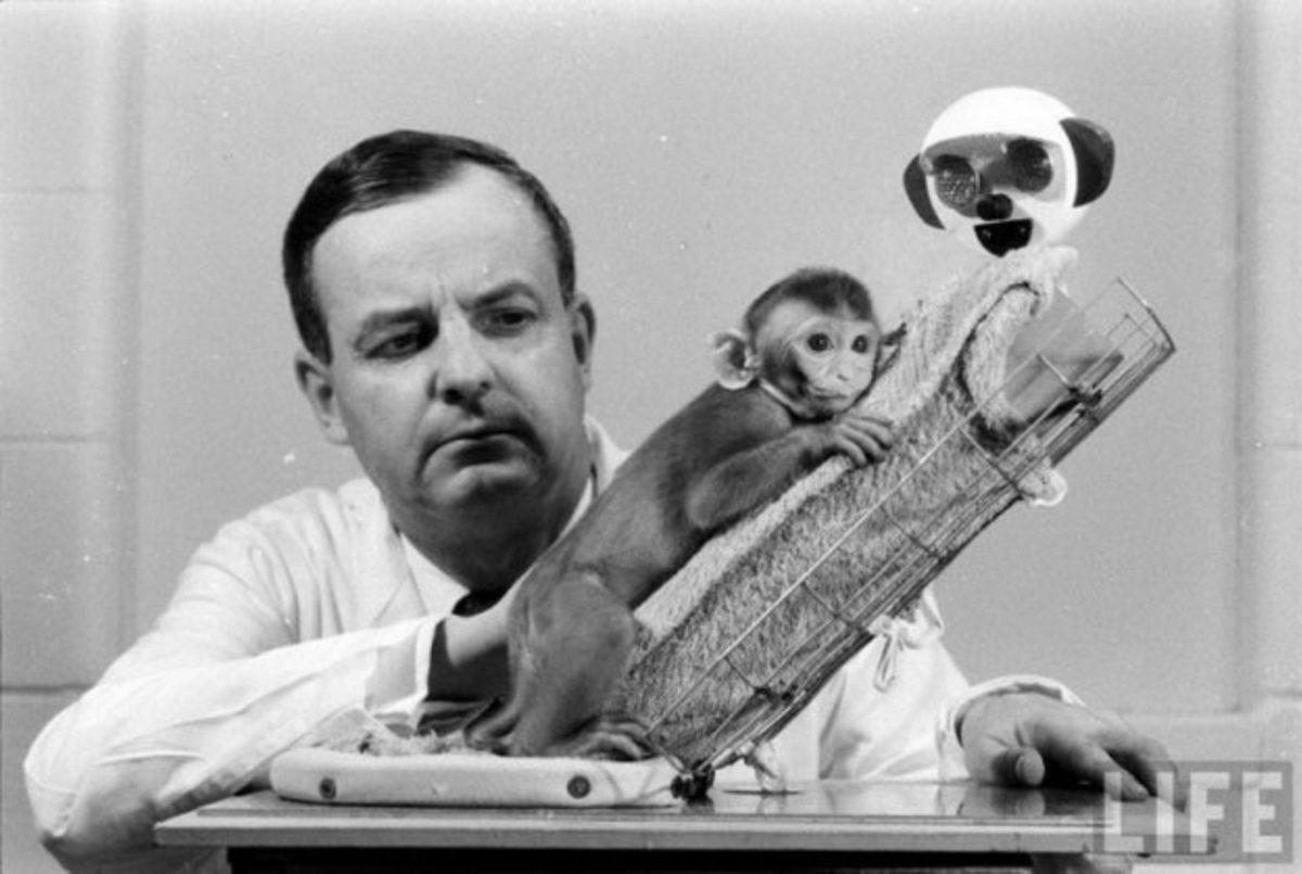 Sadece Zalim Birinin Yapabileceği, İnsanlık Dışı ’Şefkat’ Deneyi (18+)