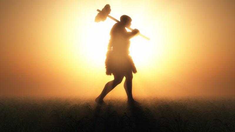 Altıncı Kitlesel Yok Oluşun İnsan Eliyle Gerçekleştiğini Öne Süren Araştırma