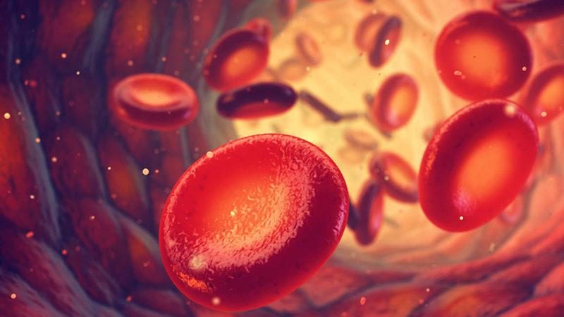 Bir Damla Kan ile 13 Kanser Türünü Tespit Edebilen Bir Test Geliştirildi