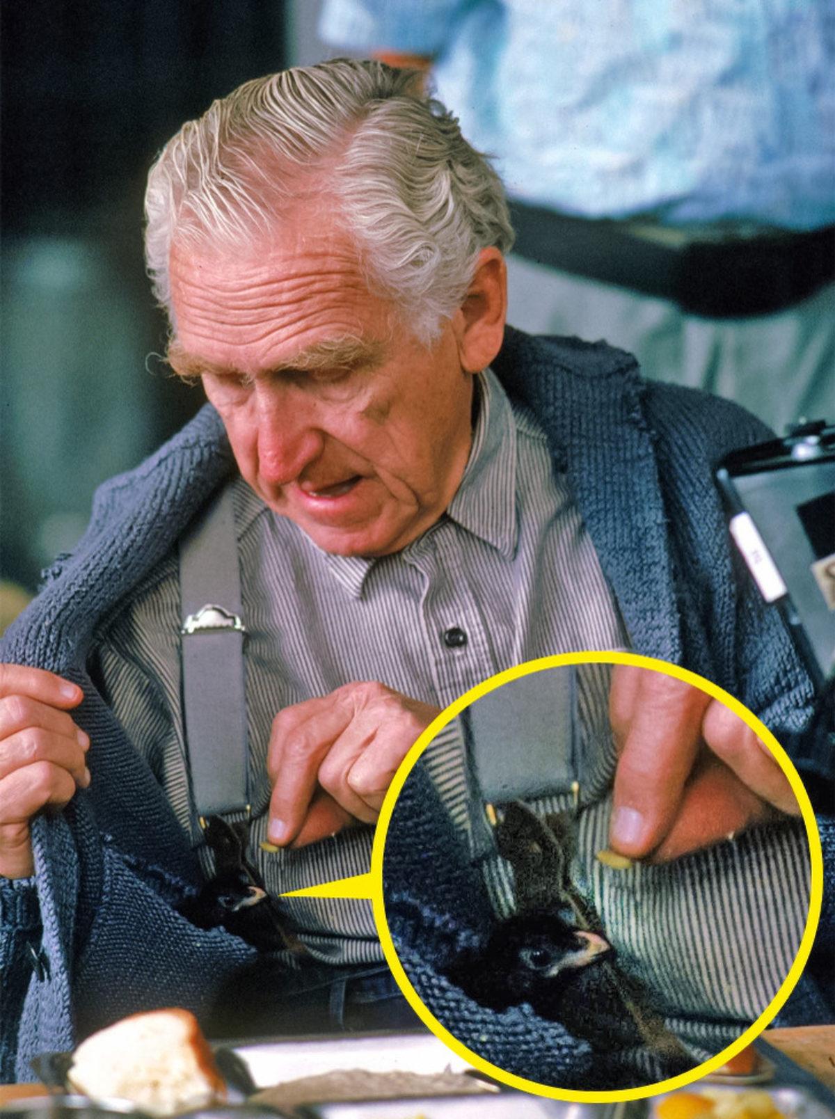 Filmler Hakkında Yalnızca Gerçek Hayranların Bileceği 11 Gerçek