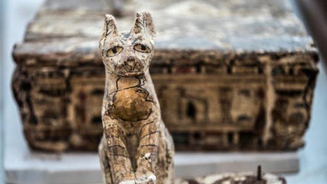 Antik Mısır’dan Kalma Bir Mezarda Hayvan Mumyaları Keşfedildi