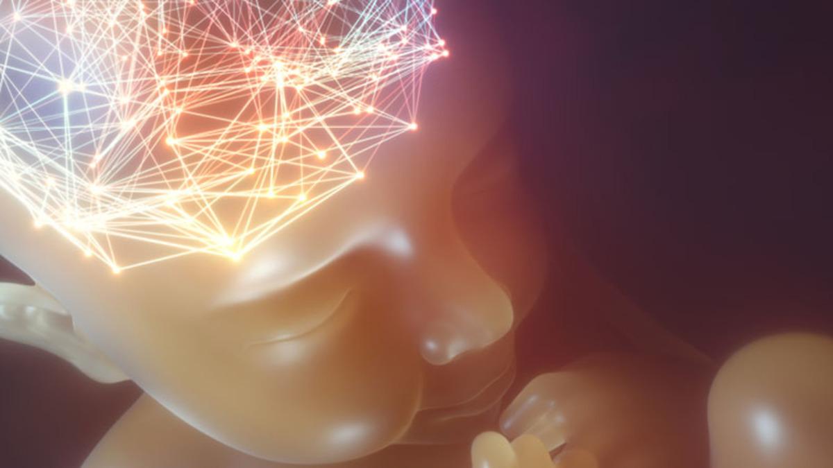 Fetüslerin Işığı Sandığımızdan Daha Erken Algıladığı Keşfedildi