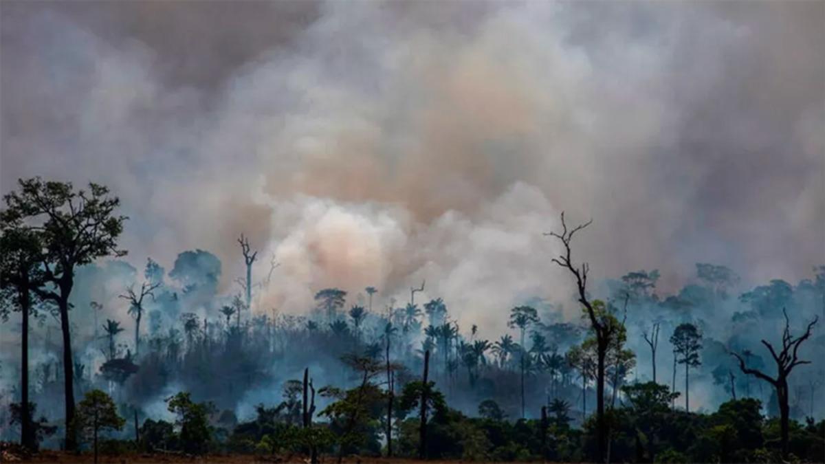Bilim İnsanları: İklim Değişikliğinin Geri Dönülemez Etkileri Başlamak Üzere