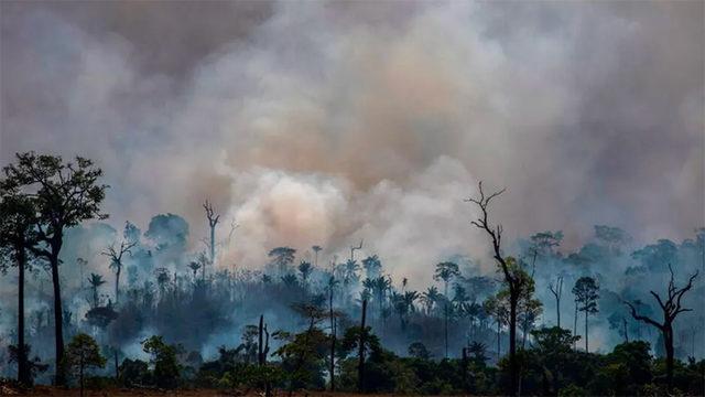 Bilim İnsanları: İklim Değişikliğinin Geri Dönülemez Etkileri Başlamak Üzere