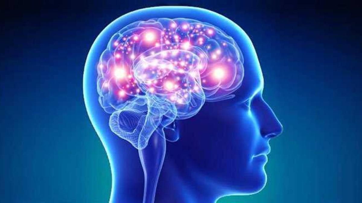 Bilim İnsanları, ‘Bilgiyi Kafaya Yükleyecek’ Yeni Bir Yöntem Buldular