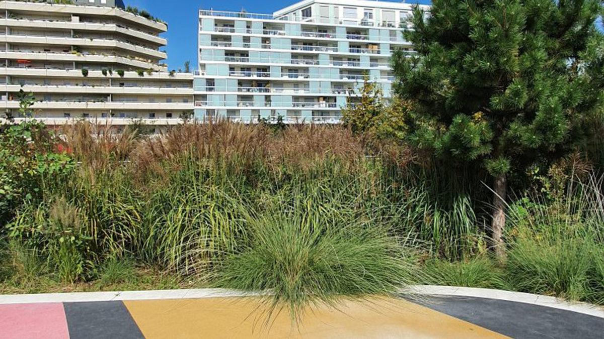 DxOMark, 2019 Yılının En İyi Kamerasına Sahip Telefonlarını Açıkladı