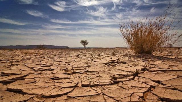 Avrupa Parlamentosu, ’İklim Acil Durumu’ İlan Etti