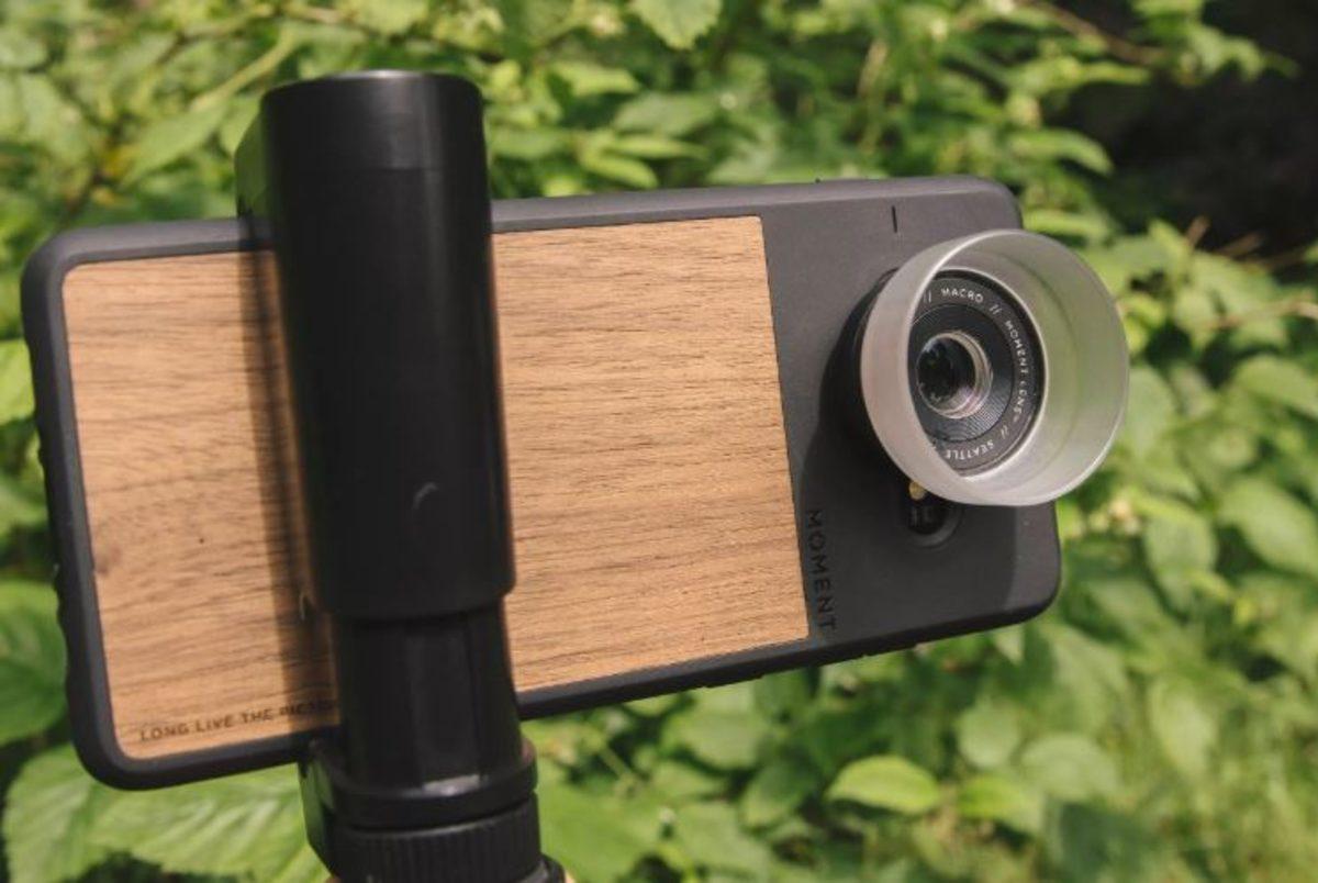 Akıllı Telefon Kamerasıyla Böcekler ve Küçük Şeyler Nasıl Fotoğraflanır?