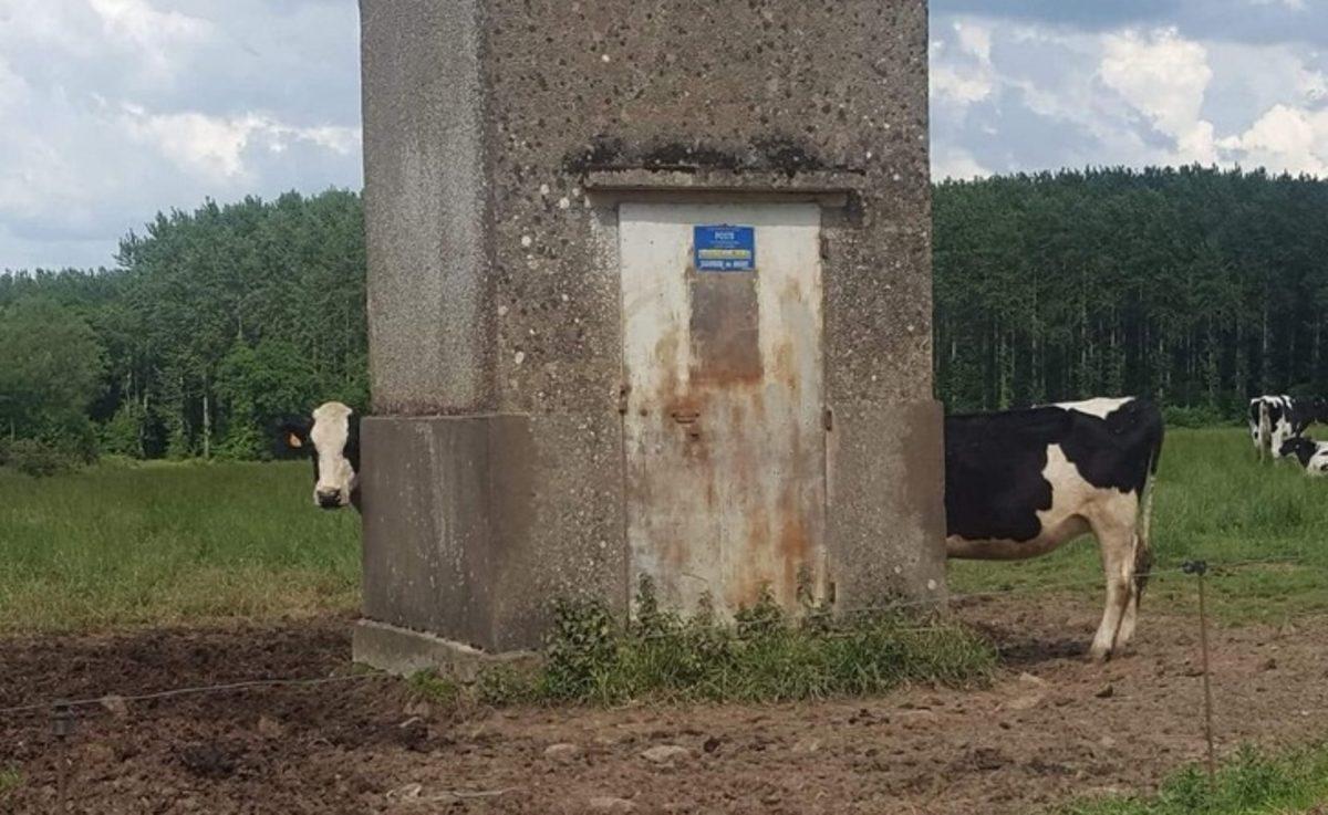 Gözlerinize Olan Güveninizi Sarsacak 10 Fotoğraf Karesi