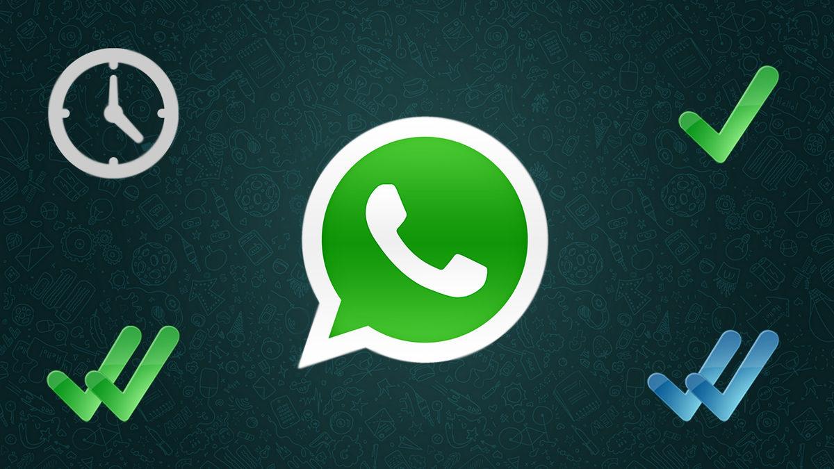 WhatsApp’ın Hakkınızda Topladığı Bilgileri Nasıl Öğrenebilirsiniz?