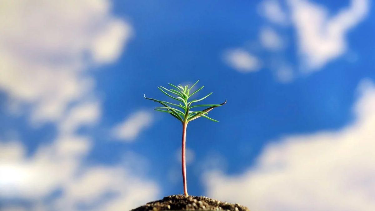 2050 Yılına Geldiğimizde Dünya Nasıl Bir Yer Olacak?