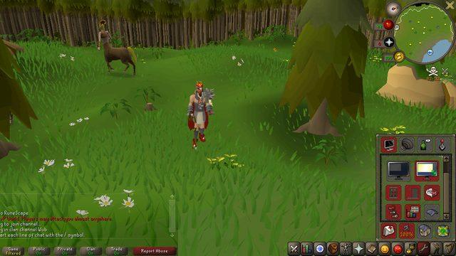 Twitch Yayıncısını Şoka Uğratan 70 Bin Dolarlık Bitcoin Bağışı