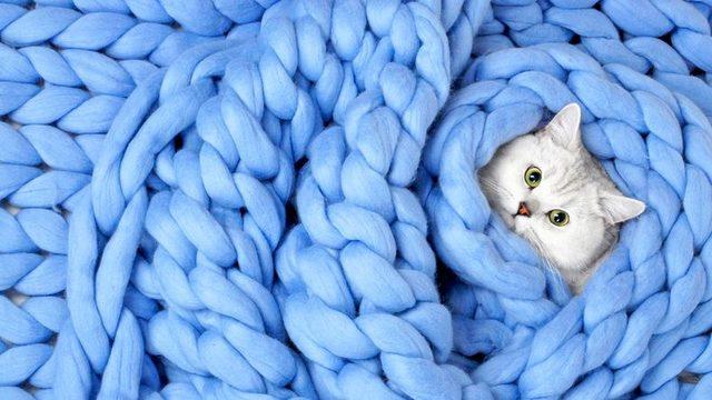 Microsoft, Windows 10 İçin İndirilebilir 4 Yeni Duvar Kağıdı Yayınladı