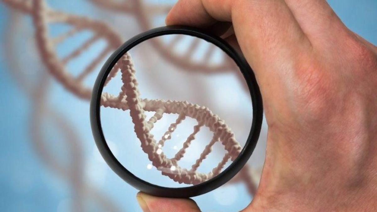 Bilim İnsanları, DNA’dan Yaşam Süresini Hesaplamaya Çalışıyor