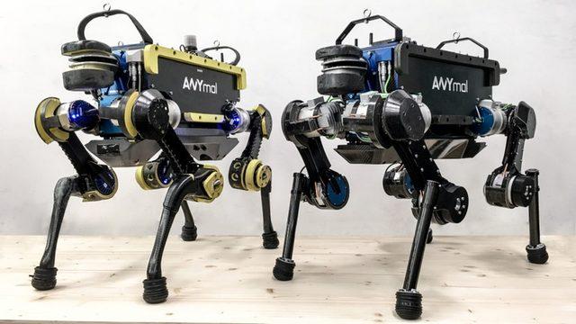 Yıkılmadım Ayaktayım: İsviçre’de Düştüğünde Tekrar Ayağa Kalkabilen Robot Geliştirildi