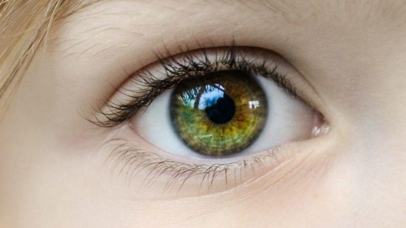 Vücudumuzun Artık İhtiyaç Duymadığımız 9 Parçası