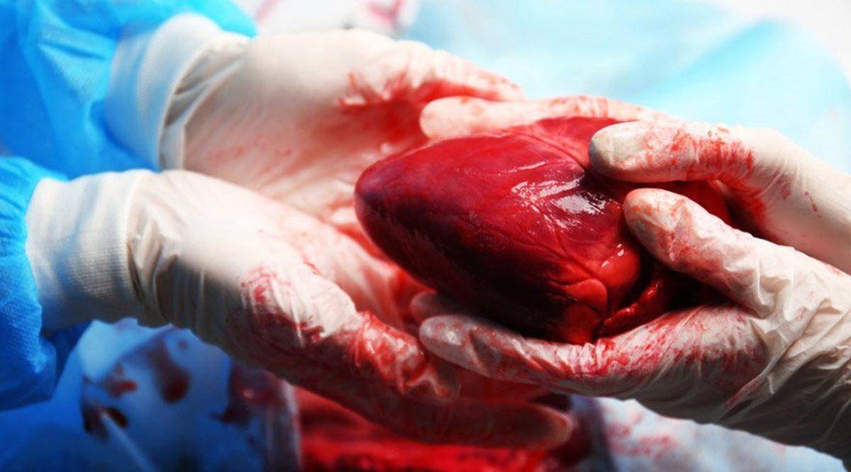 Organ Bağışı Hakkında Yanlış Bilinen Doğrular