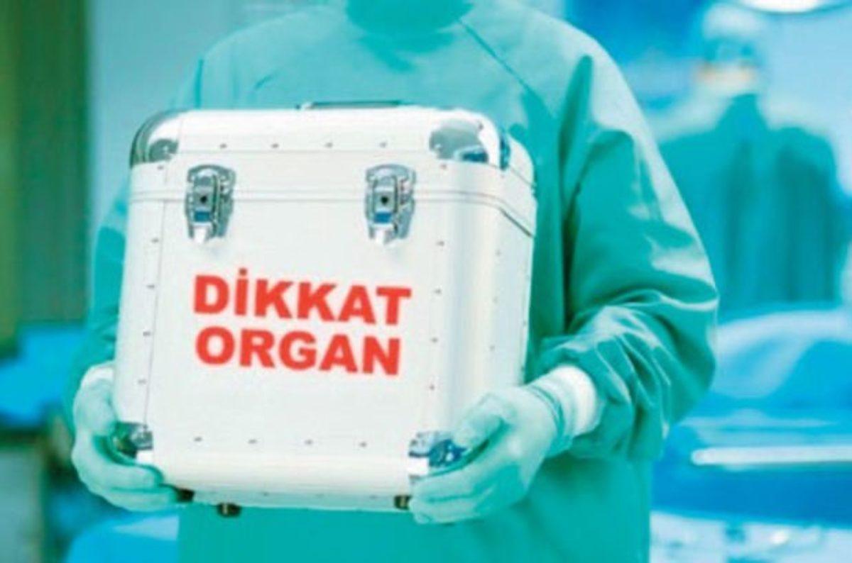 Organ Bağışı Hakkında Yanlış Bilinen Doğrular