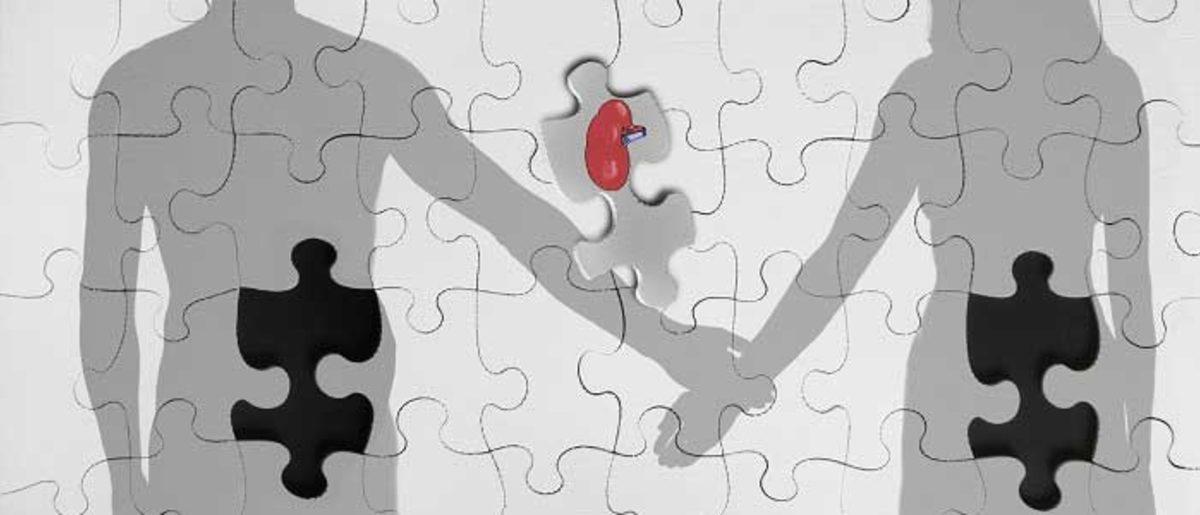 Organ Bağışı Hakkında Yanlış Bilinen Doğrular