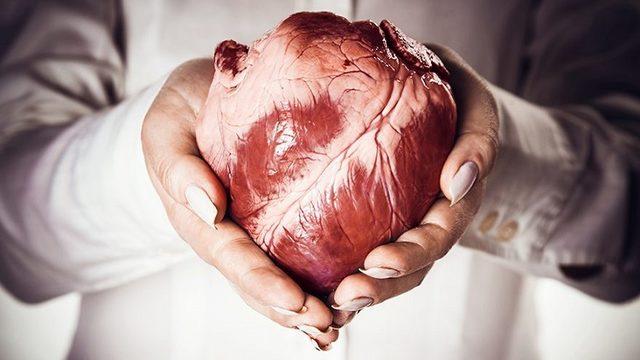 Organ Bağışı Hakkında Yanlış Bilinen Doğrular