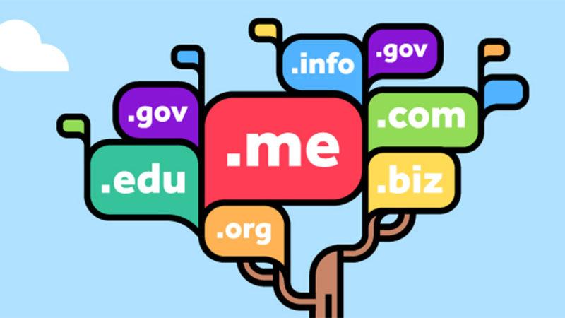 Saçma Domain’lerin Fiyatlarını Tahmin Etme Üzerine Kurulu Tarayıcı Oyunu