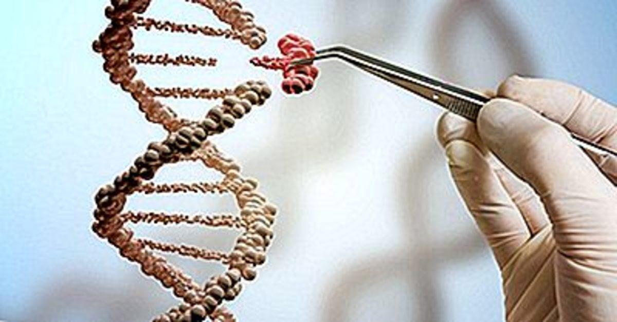 Çin, Bebeklerin Genetiğini Değiştirmenin Yasa Dışı Olduğunu İlan Etti