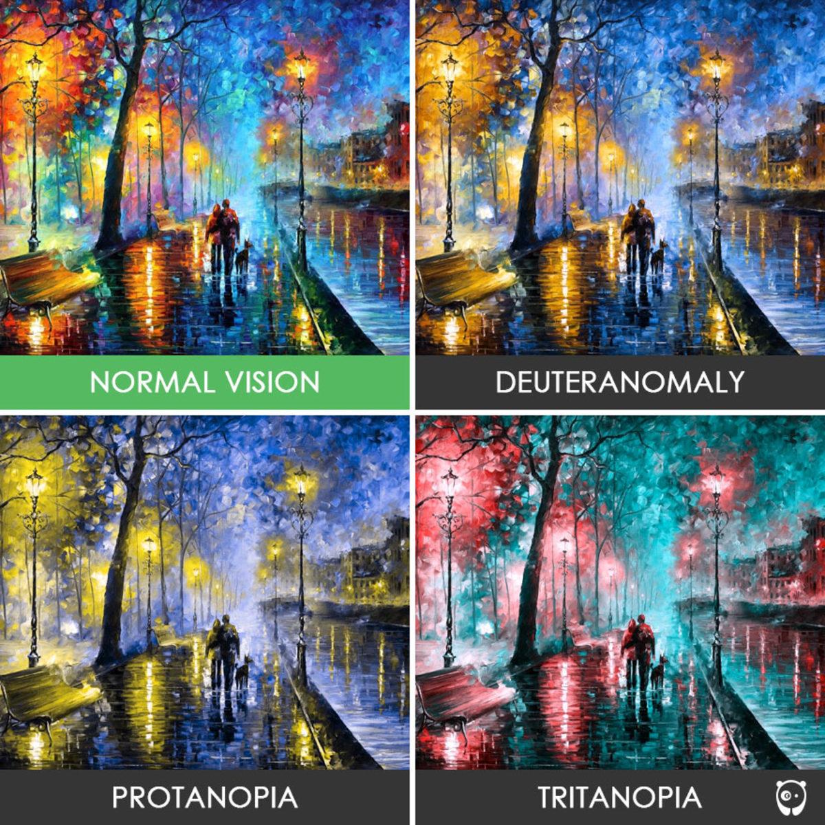 Renk Körü İnsanların Gözünden Dünya Nasıl Görünüyor?