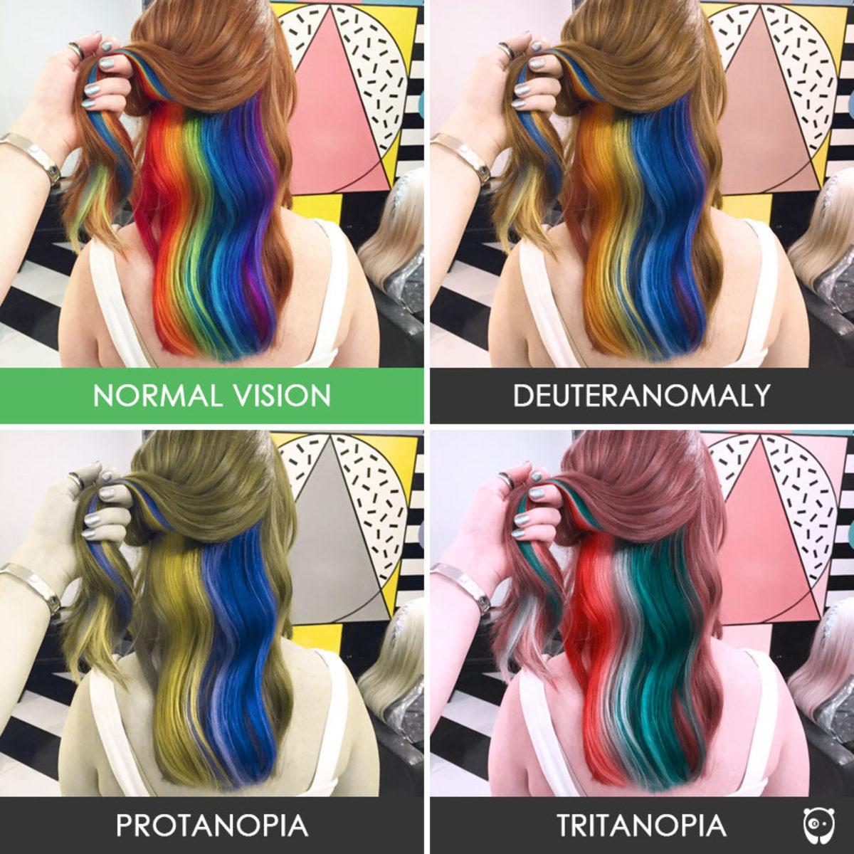 Renk Körü İnsanların Gözünden Dünya Nasıl Görünüyor?