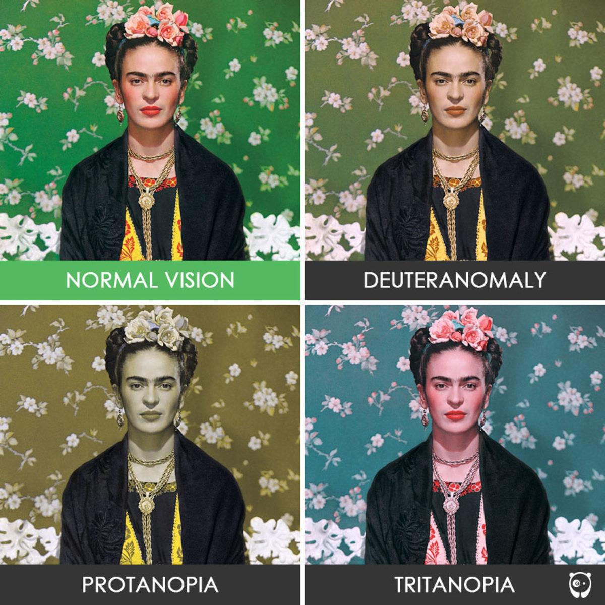 Renk Körü İnsanların Gözünden Dünya Nasıl Görünüyor?